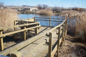 Lee más sobre el artículo Itinerario adaptado en Falces (NAVARRA)
