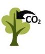 ARBOL_CO2