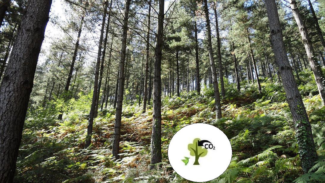 Lee más sobre el artículo Convenio con el Aula de Ecodiseño de la UPV / EHU