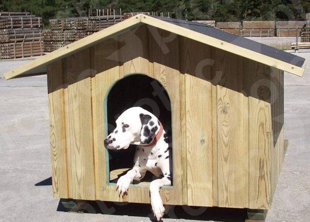 Lee más sobre el artículo Caseta para Perro XXL