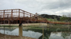 Lee más sobre el artículo <!--:es-->Integración de Pasarela con Madera en Urdaibai<!--:-->