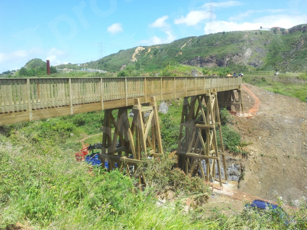 Lee más sobre el artículo Pasarela de 46m sobre torres de hasta 10m de altura en La Arboleda