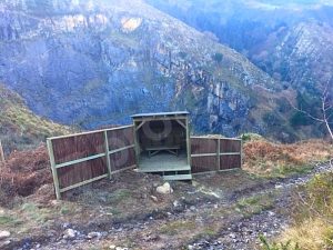 Read more about the article Observatorio de halcones en Bilbao