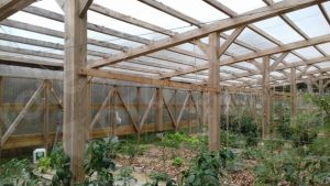 Read more about the article Estructura ligera para Invernadero