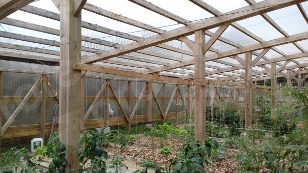 Read more about the article Estructura ligera para Invernadero