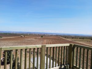 Read more about the article Torre Mirador entre viñedos