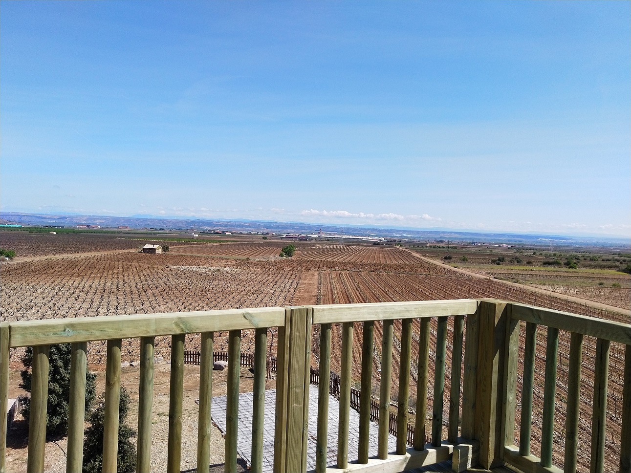 Lee más sobre el artículo Torre Mirador entre viñedos