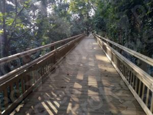 Read more about the article Pasarela elevada junto a metro en Getxo